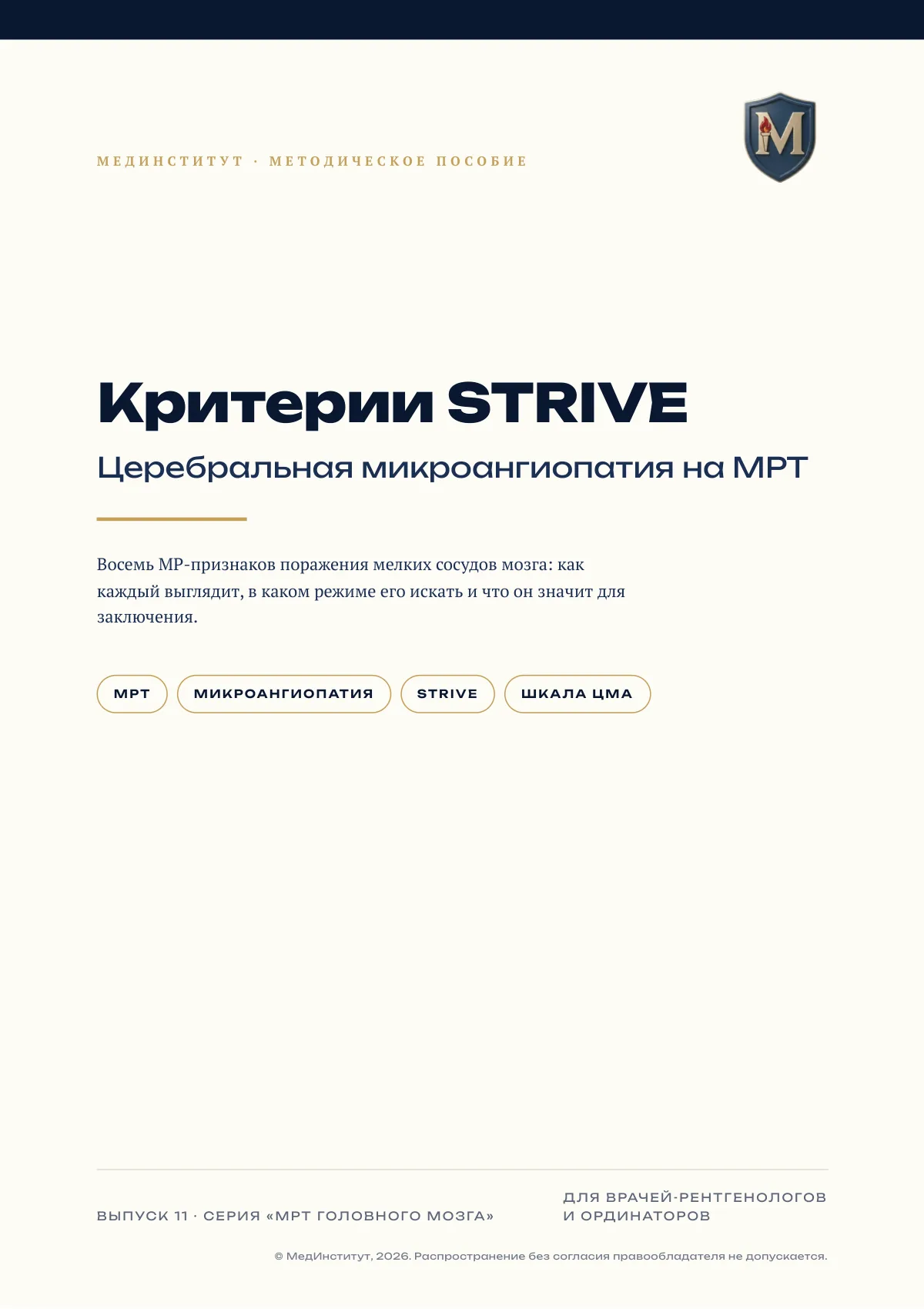 Страница 1 методической разработки «Критерии STRIVE»