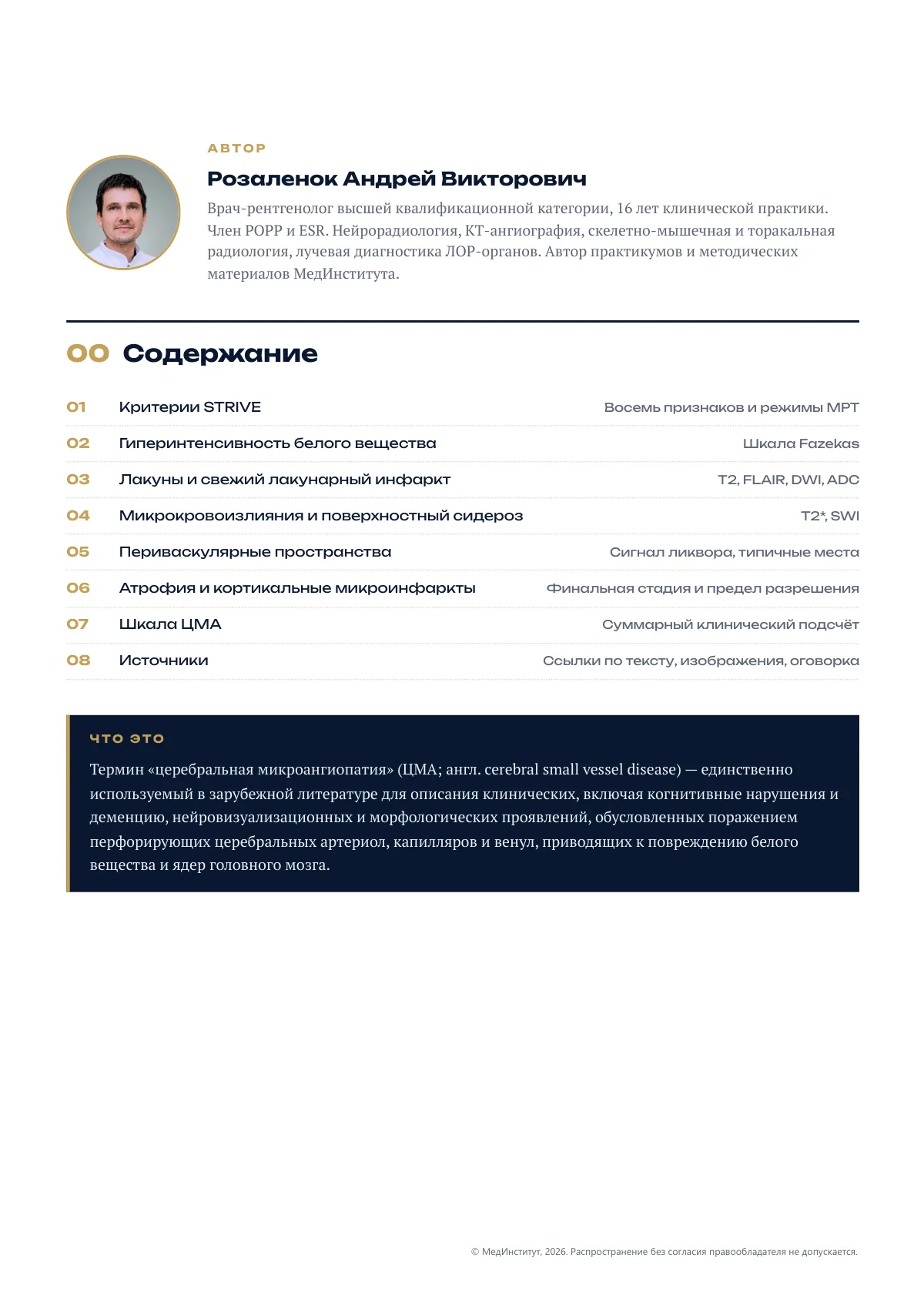 Страница 2 методической разработки «Критерии STRIVE»